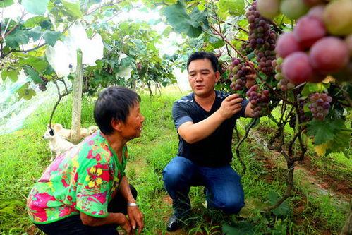 方山吃瓜最新事件爆料  第1张