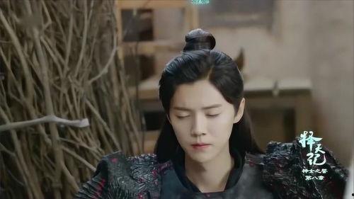 择天记48在线观看,风云变幻，命运抉择  第3张